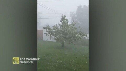 Furious weather takes its anger out on this neighbourhood