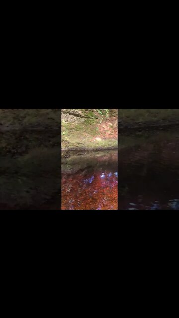 Nature #Water #Nature #shorts #short #Standbyme