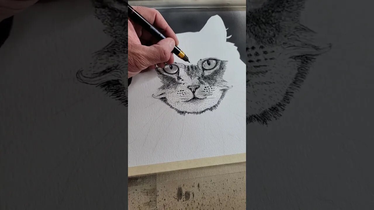 Drawing a Cat. In Progress