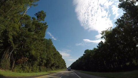 Blasian Babies Family Drive The 2017 Honda Pilot Elite AWD From Boca Raton, FL To Norfolk, VA