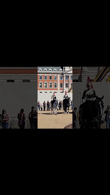 blues and royals solider on white horse plays the bugle #horseguardsparade