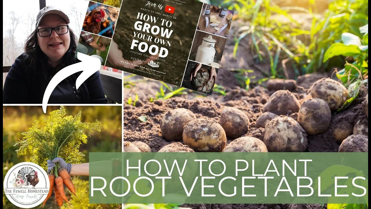 How to Grow Root Vegetables | Potatoes, Carrots & More | Grow Your Own Food Series