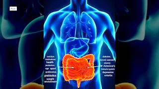 Microbiome research is still a new frontier for many researchers as new technology makes it easier to zero in on specific bacteria in the body.