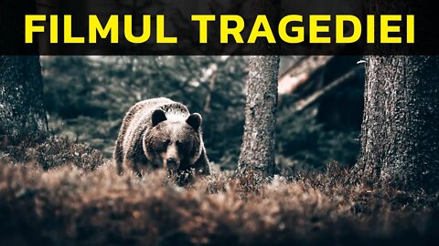 CE S-A ÎNTÂMPLAT, CU ADEVĂRAT?