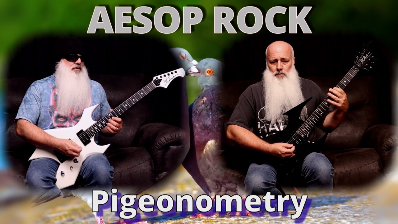 Aesop Rock - Pigeonometry (Metal guitar cover)