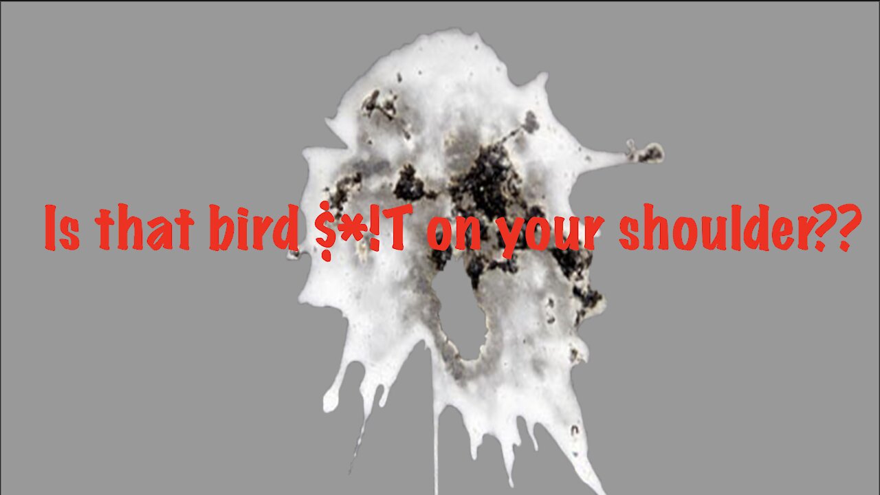 2 Gringos Gaming - Is that Bird $*!T on Your Shoulder??