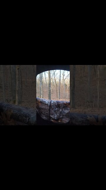 yet another beautiful cold day to hunt. Nature is beautiful and relaxing