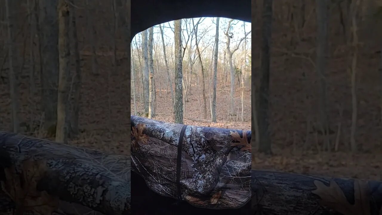 yet another beautiful cold day to hunt. Nature is beautiful and relaxing
