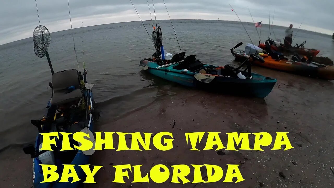 1 Fish 2 Fish EVERYBODY Has Fish!! @Toadfish @The Kayak Warrior @My Fishing Life by Gary