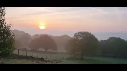 Birds sing as the sun rises #comeoutside #nature #meditation #shortvideo