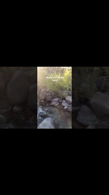 Would you fly fish this Colorado stream?