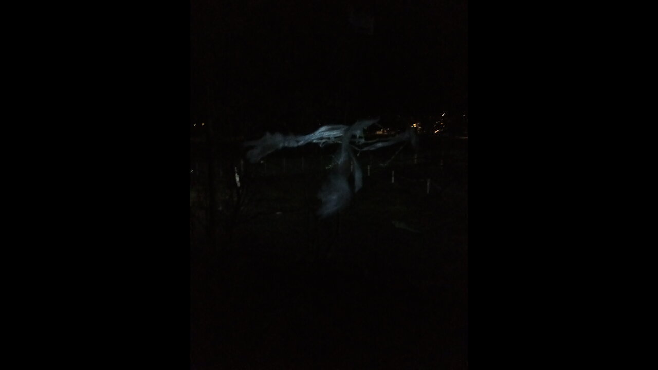 Quarantine health facilities thoughts etc.