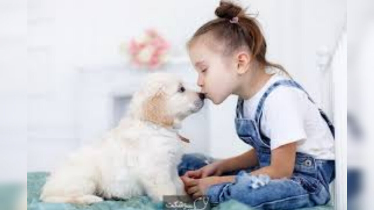 cute baby & animals