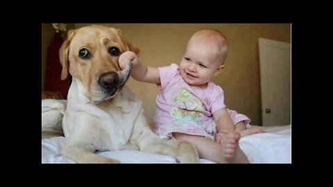 cute baby dog funny moment