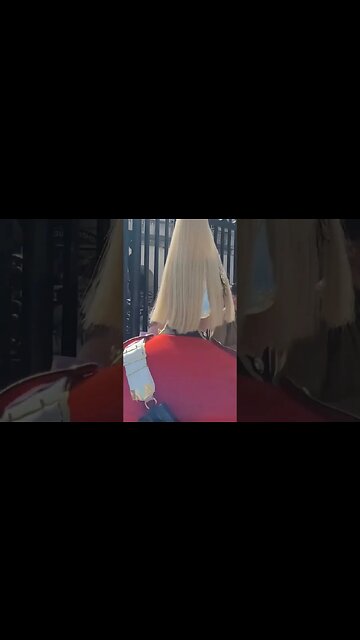 Tourist stumbles in front of guard #horseguardsparade