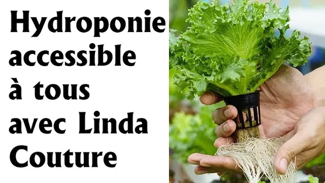 L'hydroponie accessible pour tous avec Linda Couture