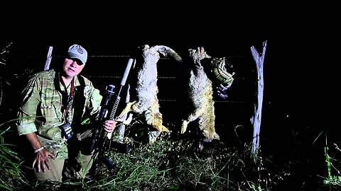COYOTE HUNTING DOUBLE.