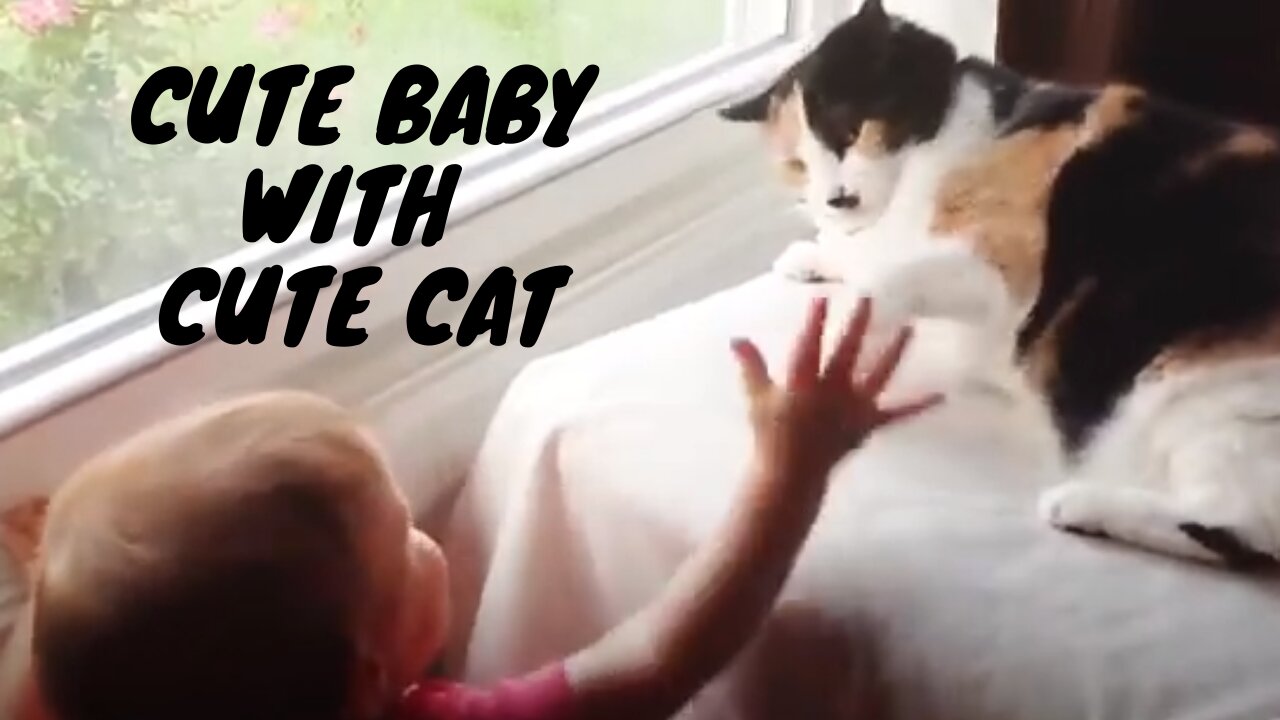 Cute Baby with Cute Cat #1