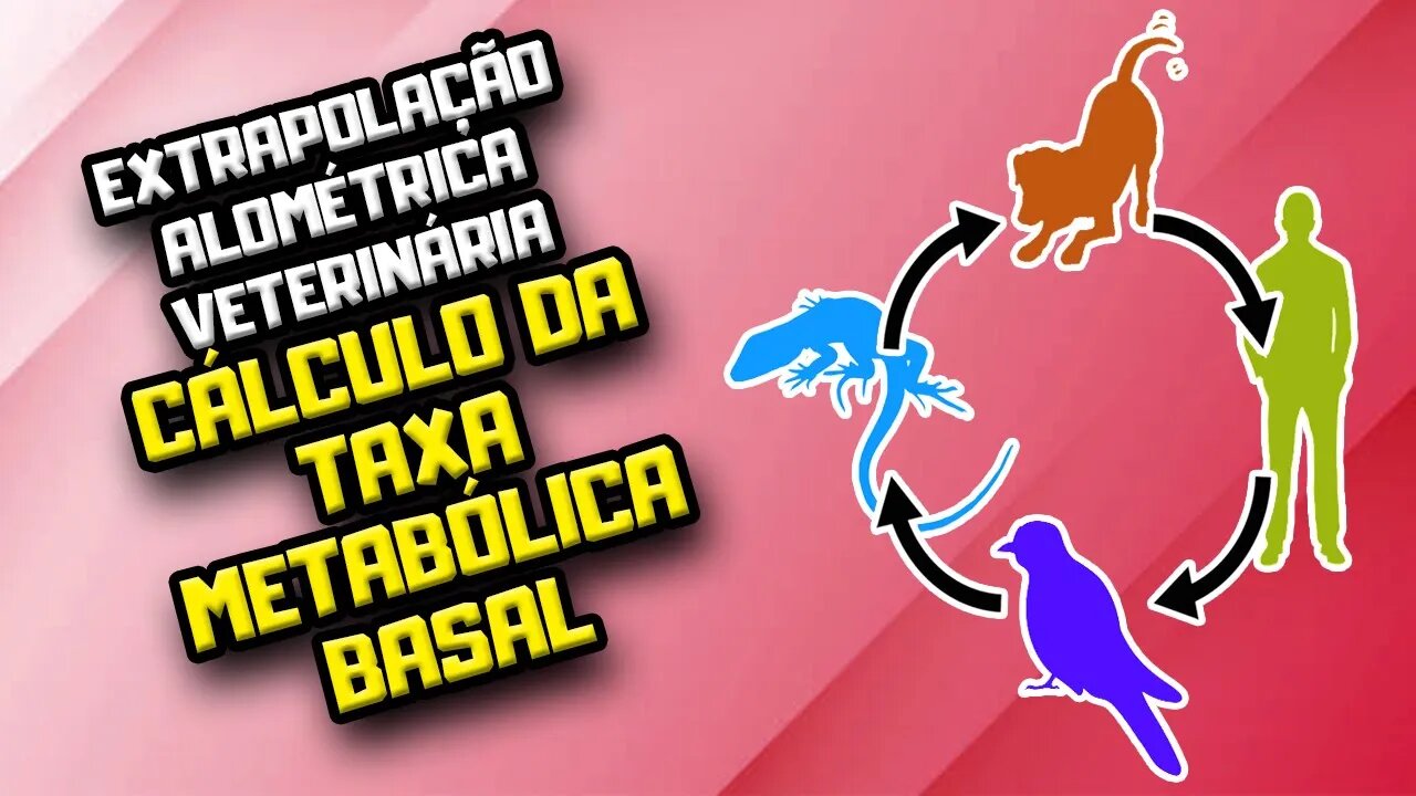 Como fazer o cálculo da Taxa Metabólica Basal na Extrapolação Alométrica Veterinária? | Dr. Edgard