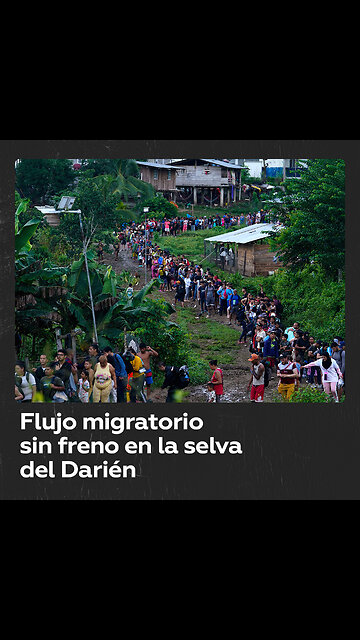 Flujo de migrantes en selva fronteriza entre Colombia y Panamá alcanza cifras récord