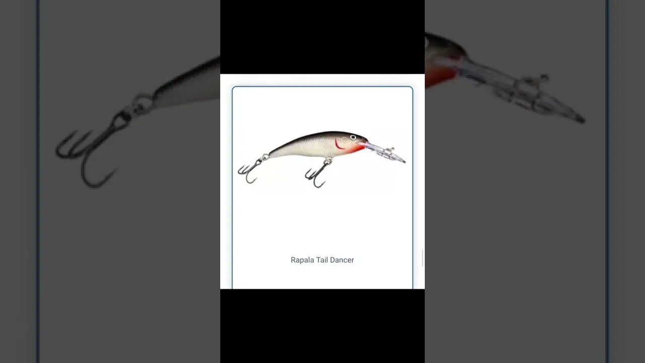 Best Trout Lures For Spring
