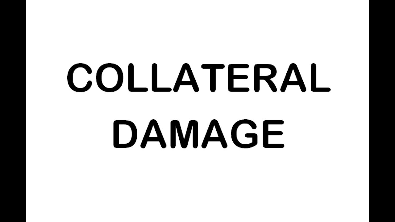 COLLATERAL DAMAGE