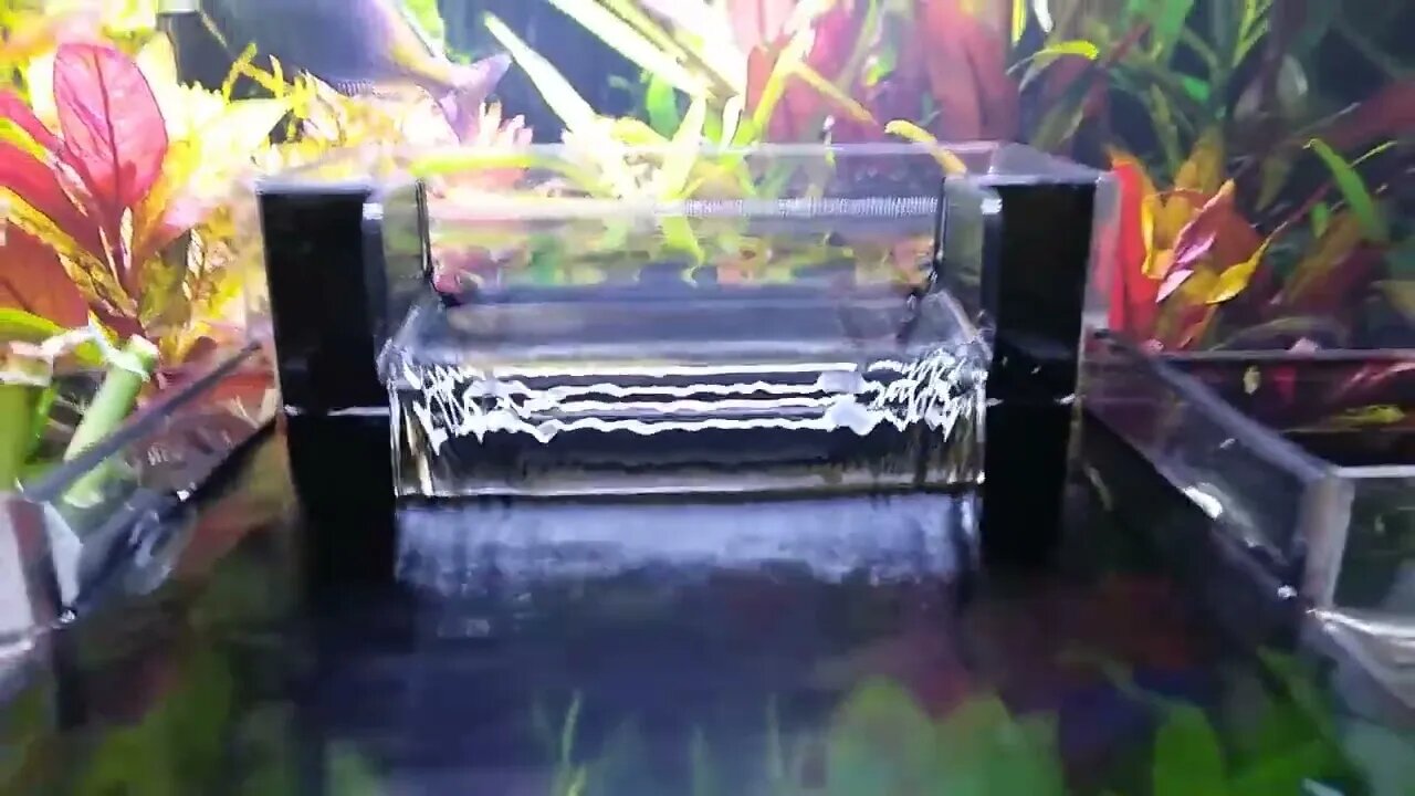 DOG BOWL Fish AQUARIUM! DIY