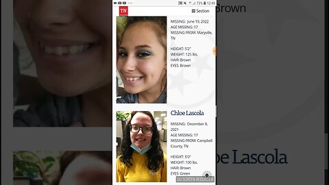 Summer Wells Not On Missing Person Report Page Is This A State-sponsored Hoax? Hawkins County Game?