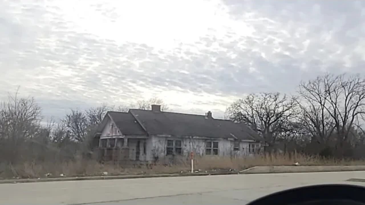 So About Those Monkeys That Got Out Of The Lab Road Trip