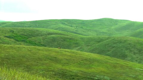 CHECHNYA ГОРЫ ЧЕЧНИ/// CAUCASIAN MOUNTAIN 🏔️ 2022