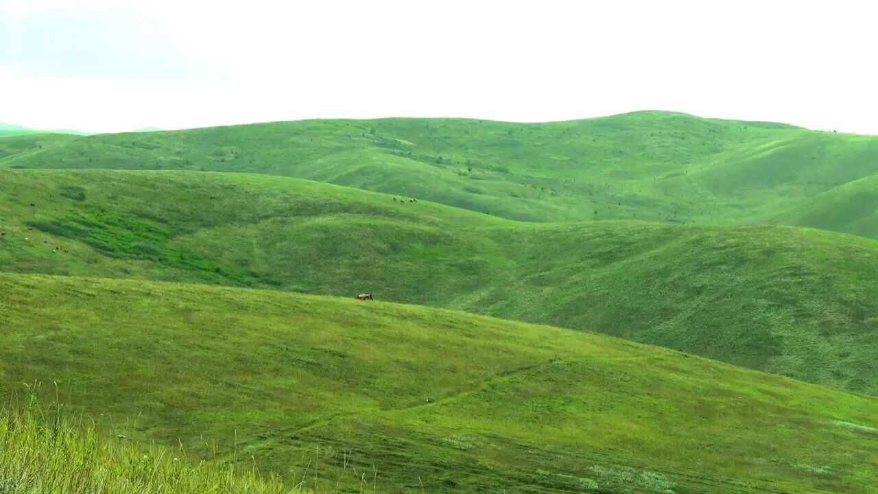 CHECHNYA ГОРЫ ЧЕЧНИ/// CAUCASIAN MOUNTAIN 🏔️ 2022