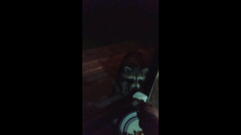 She loves them marshmallows