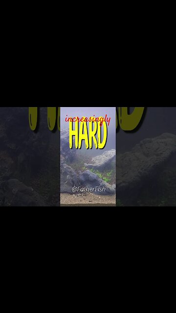 2 MAJOR problems with Aqua Soil in a Planted Aquarium #aquarium