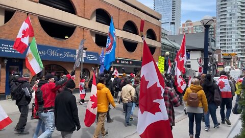 Toronto Freedom Fighters