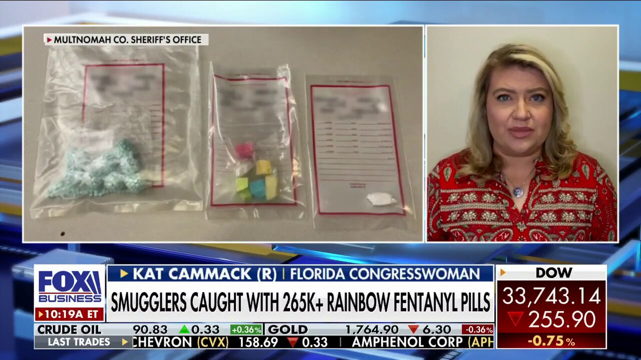 Kat Cammack rips Democrats for fentanyl crisis: 'This is wild'