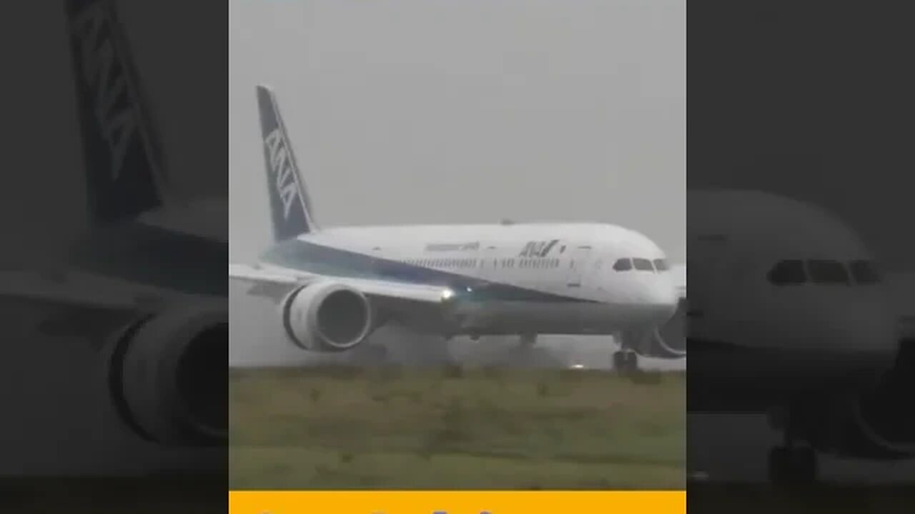 Crazy #Landing on Water Covered #Runway Boeing 787 #Aviation #Flying