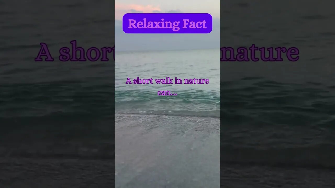 Beach Bliss & A Relaxing Secret! 🌊😌 | Must-Know Calming Fact #beachvibes #beach @AmbientNoiseCo.