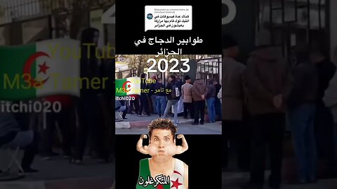 زيد طابور الدجاج حتى هو على الطوابير الاخرى 🤣 #algerie #الجزائر #algeria #المغرب #maroc #morocco