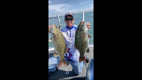 Lake St Clair smallmouth