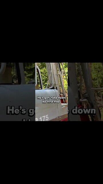 Ryan knocks over his first tree