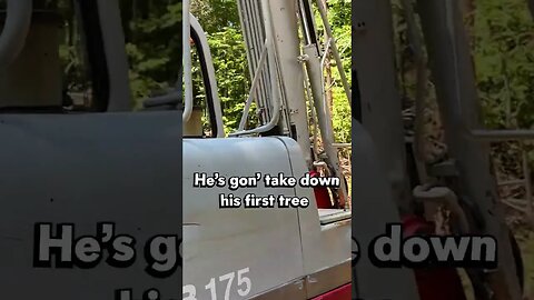 Ryan knocks over his first tree