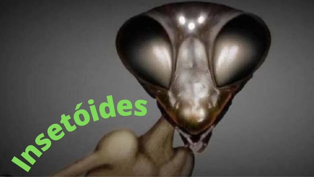 Insetóides