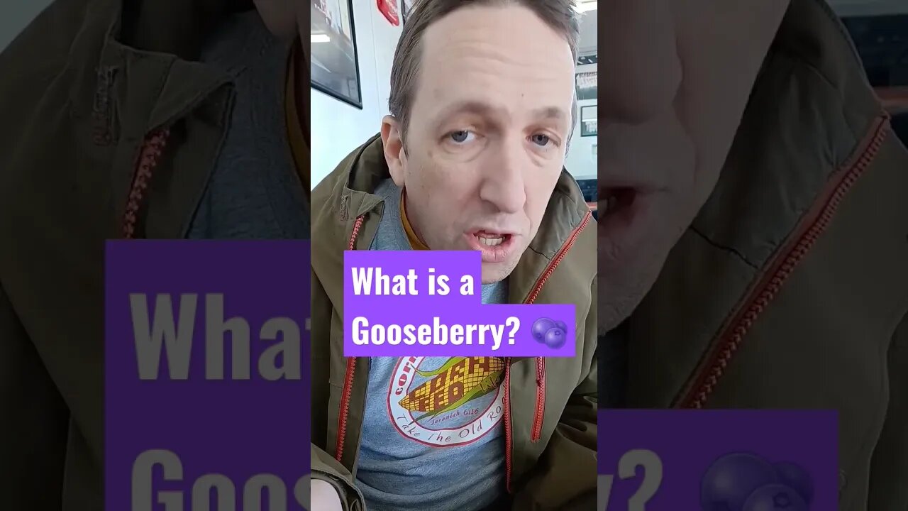 Trying A Gooseberry Fried Pie 🥧 FOR THE FIRST TIME