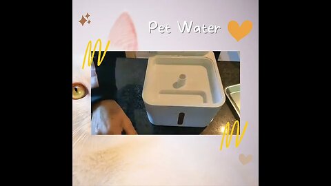 Fonte para gatos com sensor de movimento