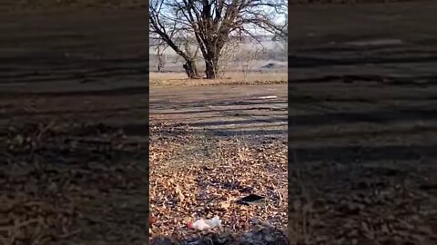 Ukraine War - Russian APC in Kharkov