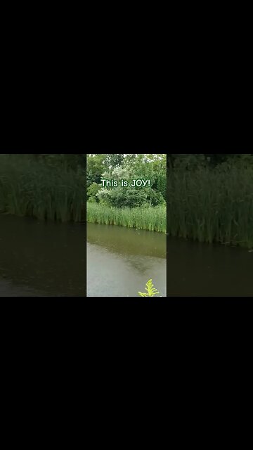 Lovely day for a walk in the park. We need more trees and sky, not less. #rainyday