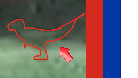 Witnessing a dinosaur running vigorously in a field [Conspiracy]