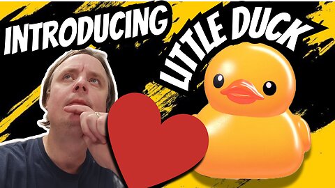 introducing little duck