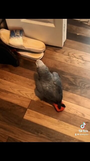 Bro getting sturdy 🤣