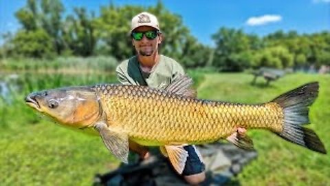 SURFACE Fishing MONSTROUS 60lb Grass Carp in a SUPER TINY POND!